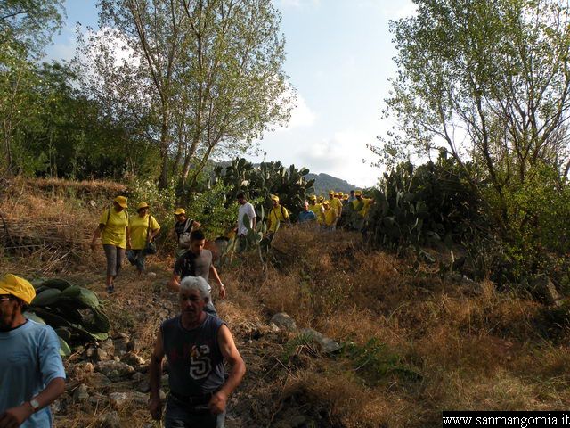 Foto 031